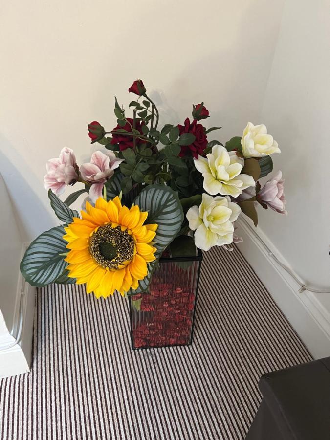 Duplex Suite,1516177030:JPEG