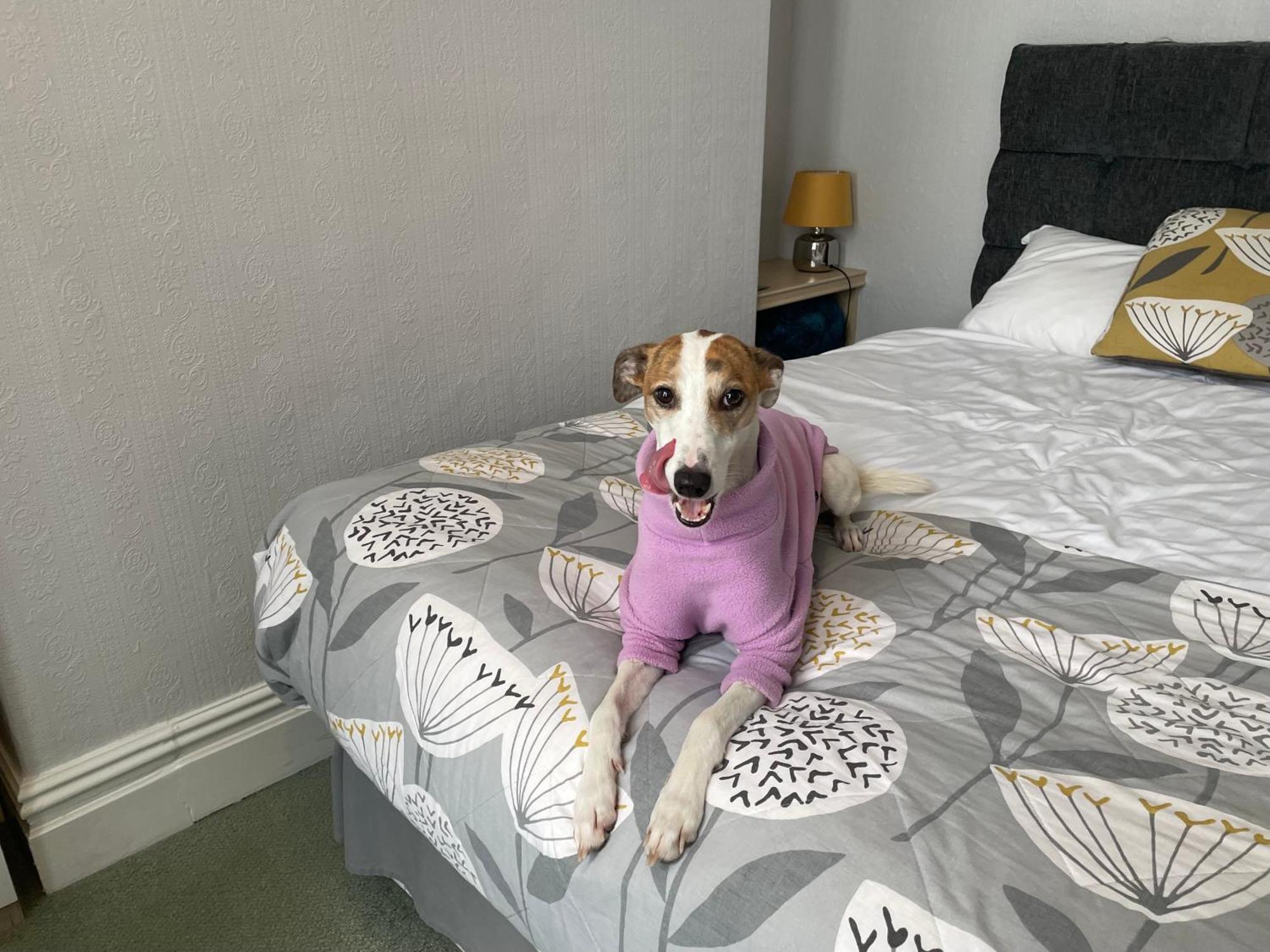 Zimmer mit Kingsize-Bett