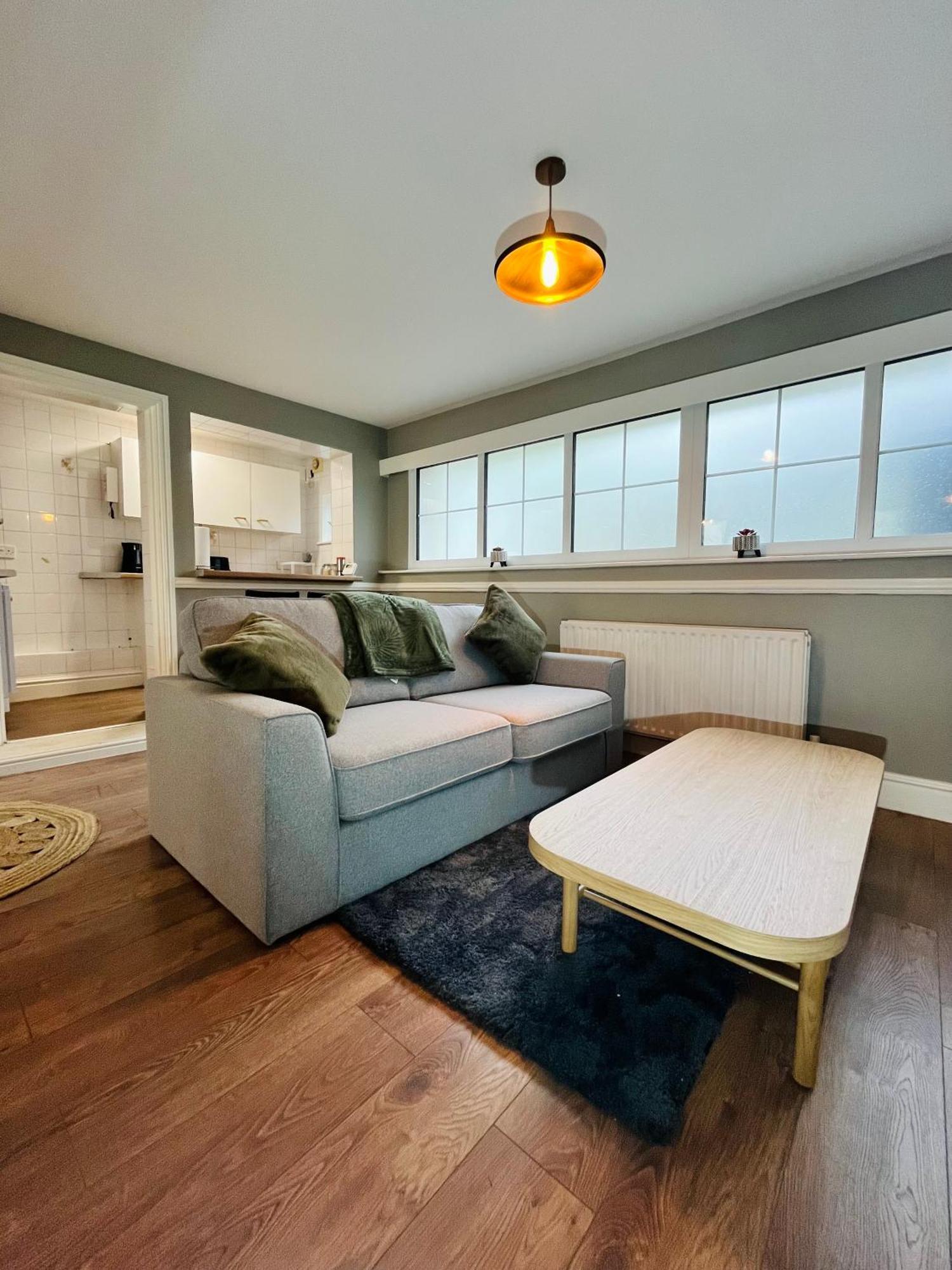 Deluxe One-Bedroom Apartment