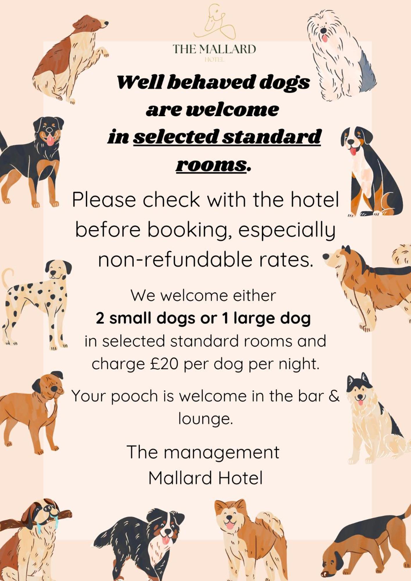 Standard Double or Twin Room