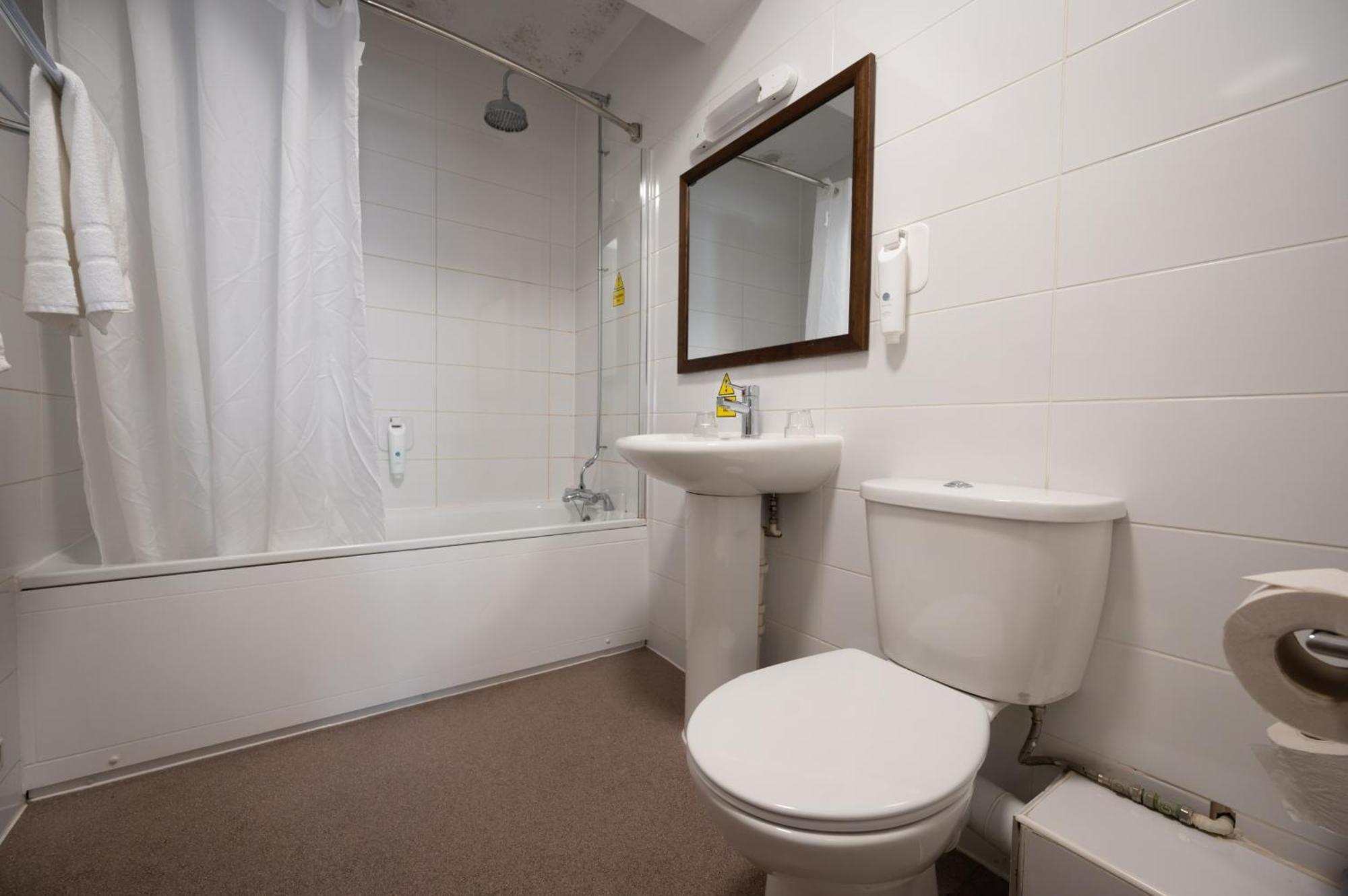 Family Room Bathroom
