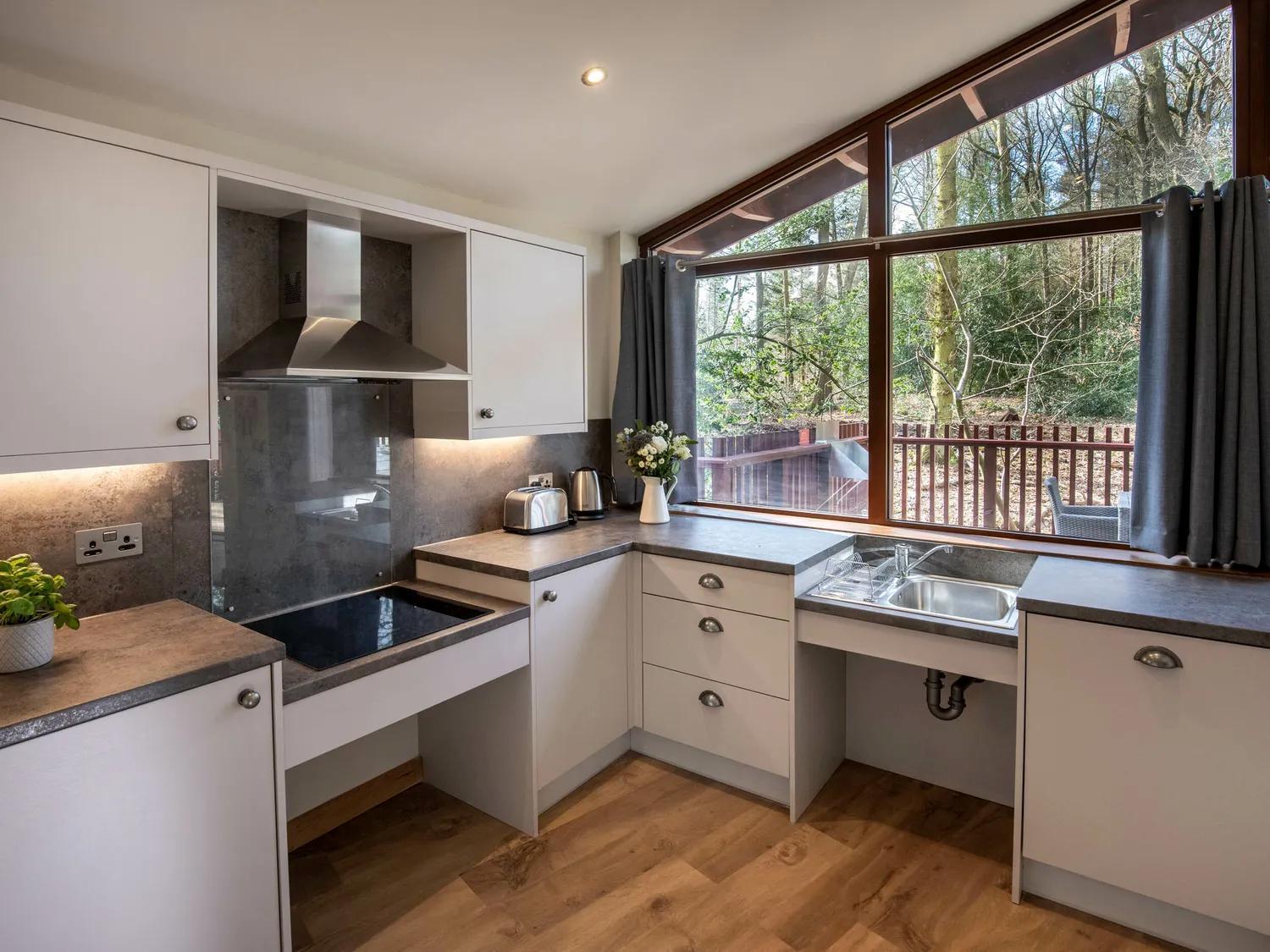 Silver Birch Wheelchair-adapted Cabin pet-friendly