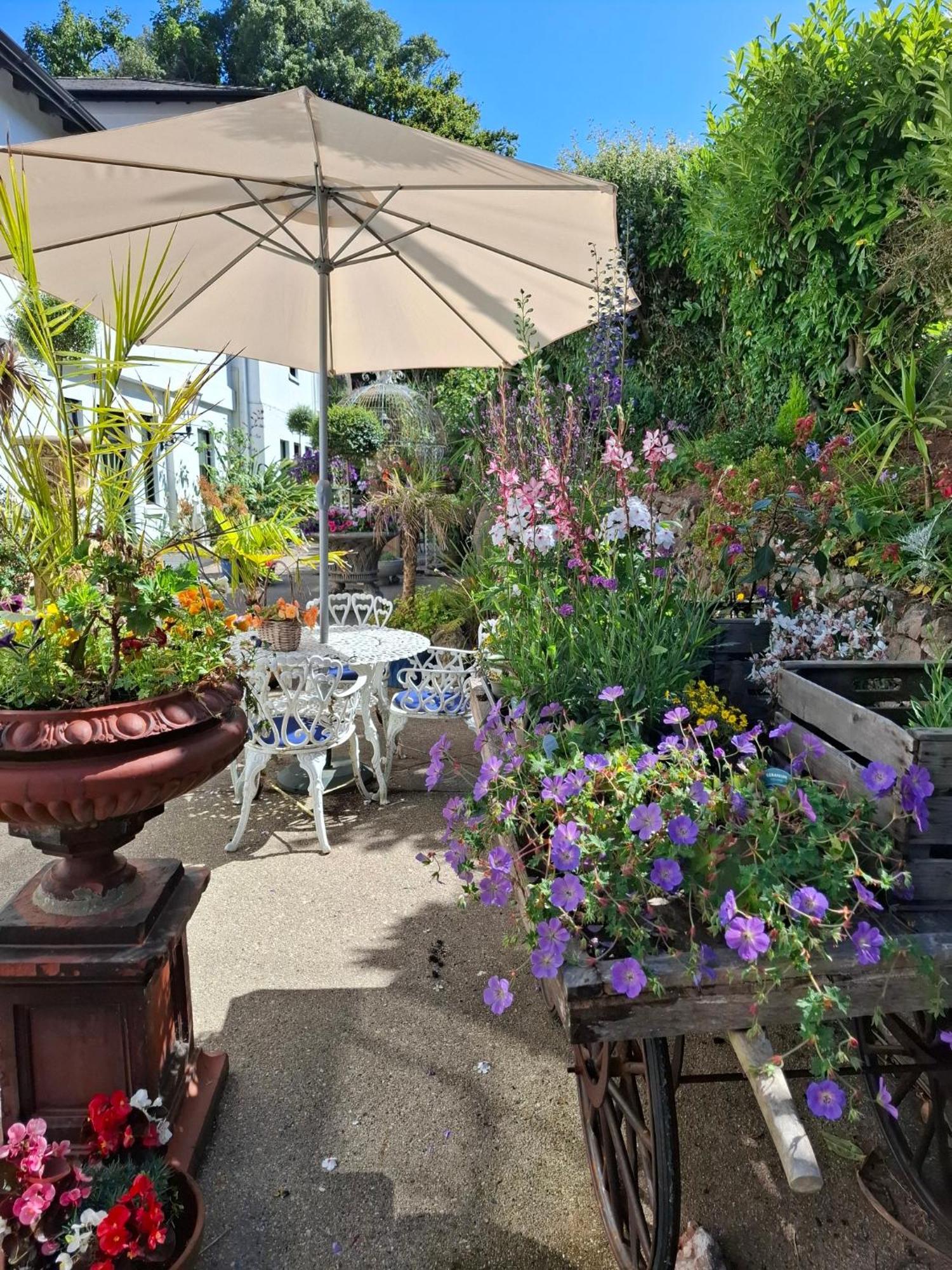 Studio Terrace,1698634090:JPEG