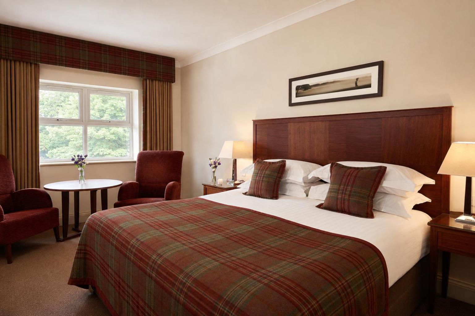 Standard King Room