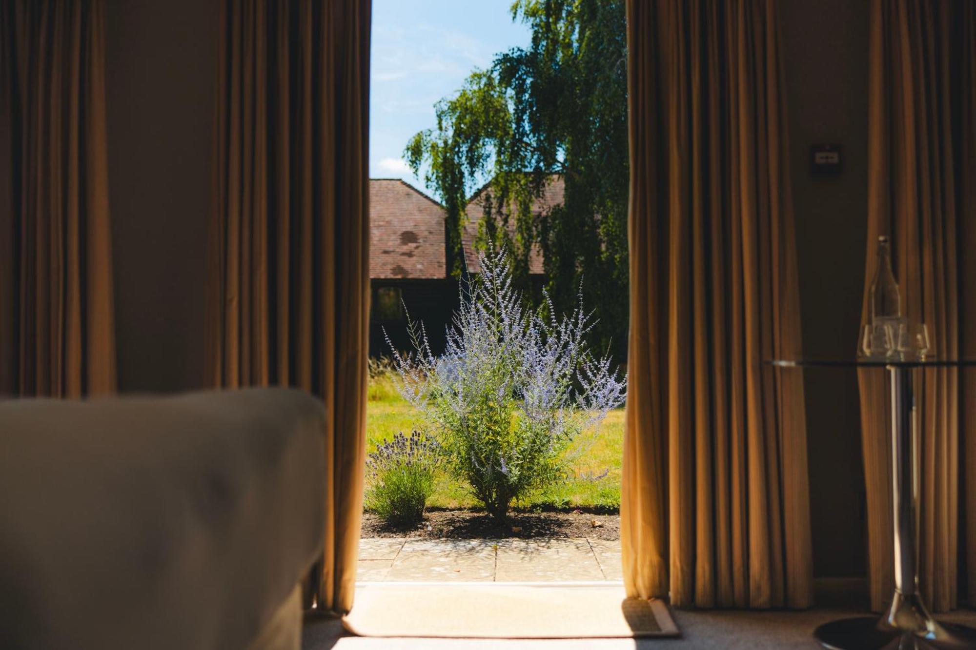 King Room Garden View