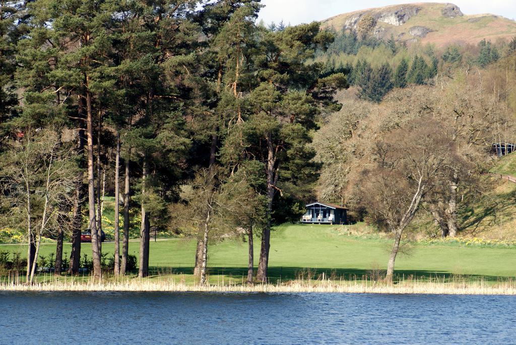 Conifer Chalet 5
