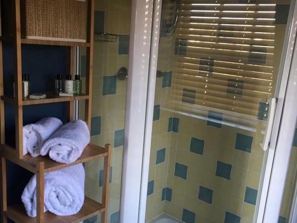 Deluxe Double Room Shower