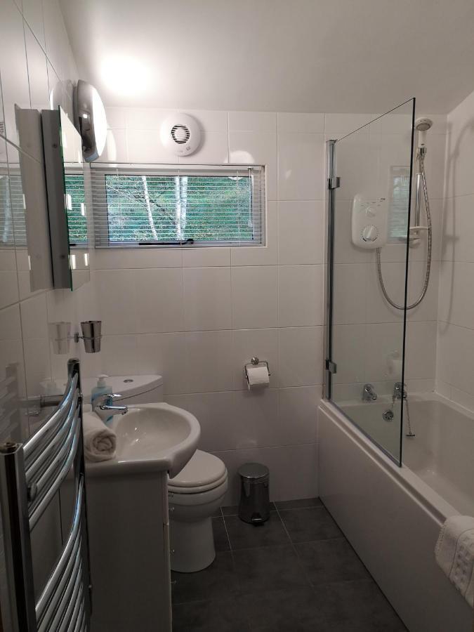Conifer Chalet 5