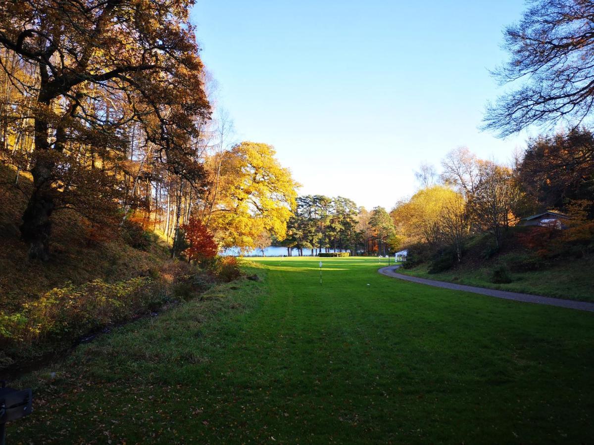 Conifer Chalet 5