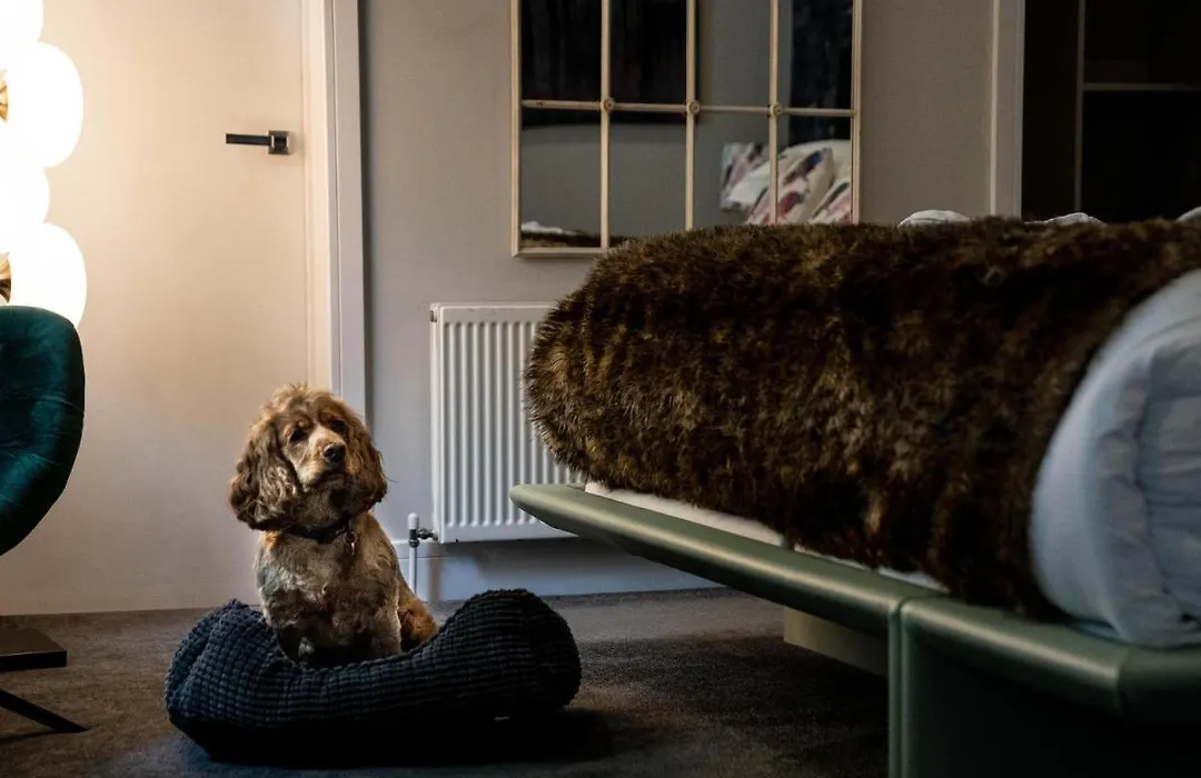 Broomhill Art Hotel-1