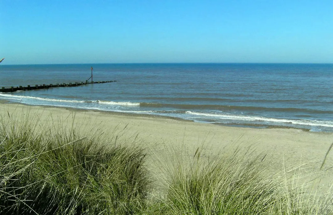 Seals Bacton-1
