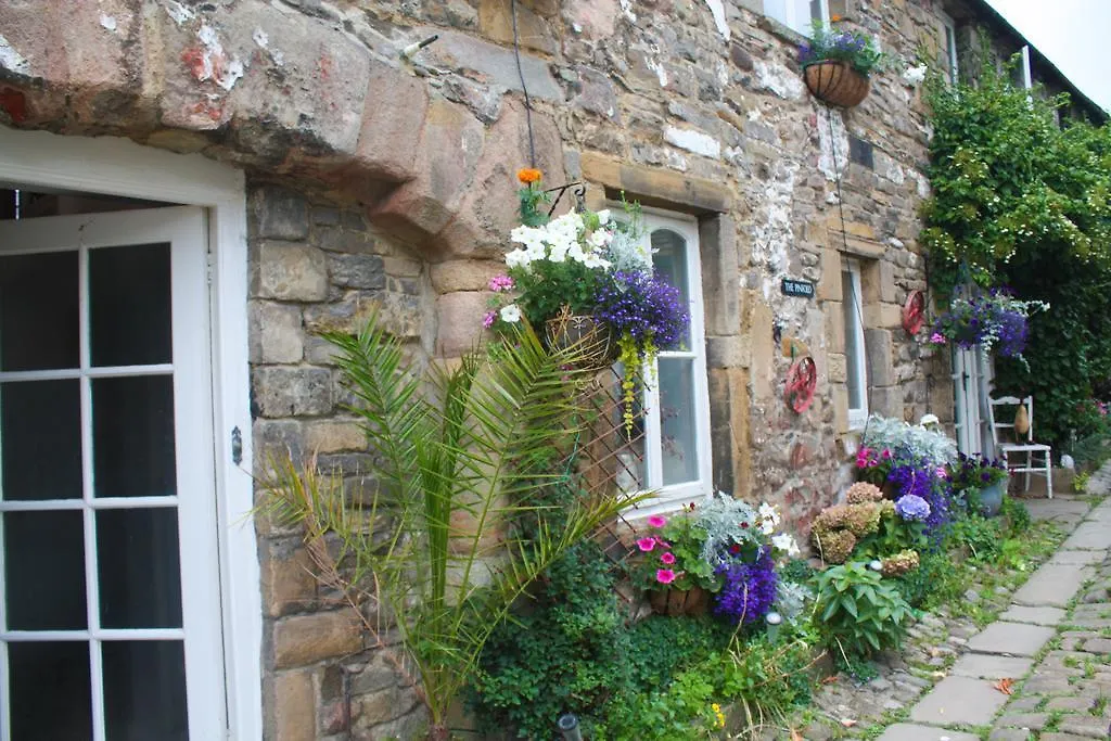 The Pinfold-1