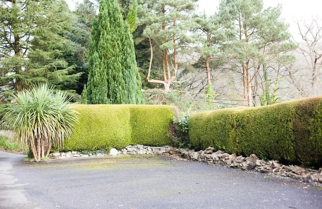 Ty Croeso Boutique B&B-1