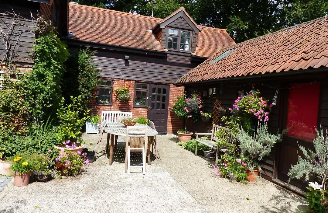 The Old Pear Tree-1