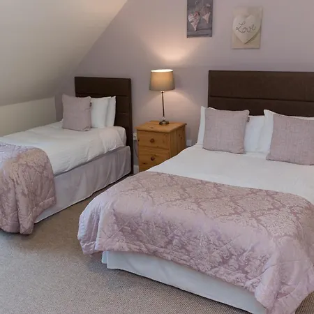 Elm Guest House-3