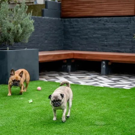 Doghouse Margate-2