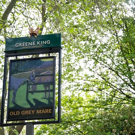 Old Grey Mare Inn By Greene King Inns-2