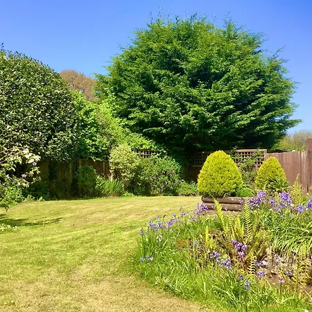 The Barn And Pinn Cottage-3
