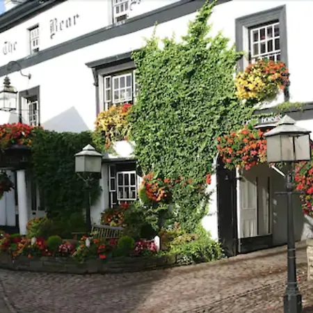 Bear Crickhowell-3