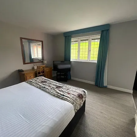 Cwrt Bleddyn Hotel & Spa-3