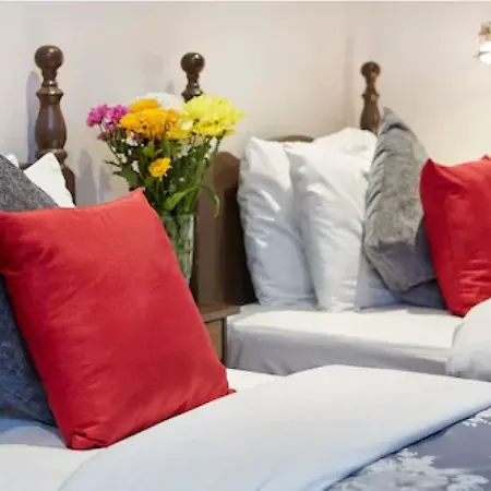 Conifers Guest House-3