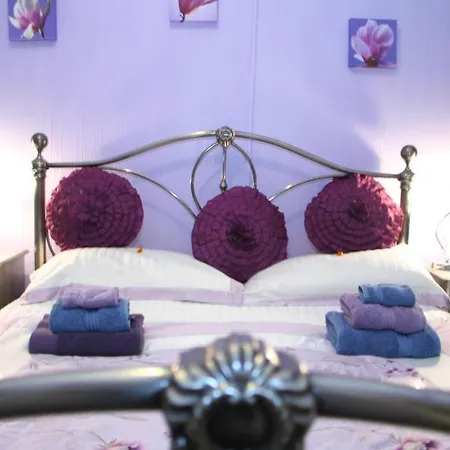 Devon View Guesthouse Swansea-3