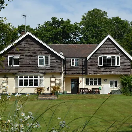 Little Forest Lodge-2