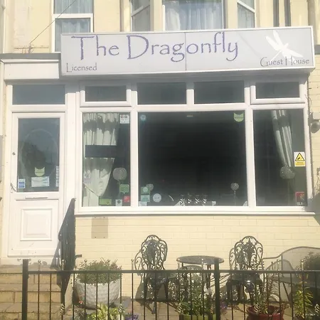 The Dragonfly-2