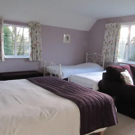 Little Forest Lodge-3