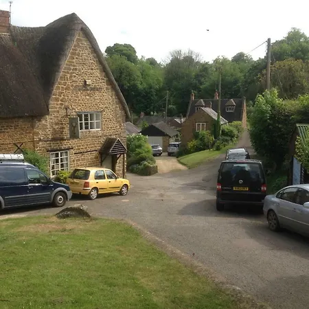 Stag'S Head-3