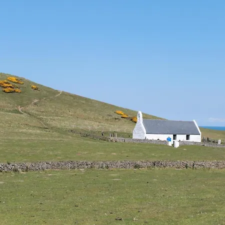 Llety Teifi Guesthouse-3