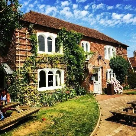 The Flying Horse-3