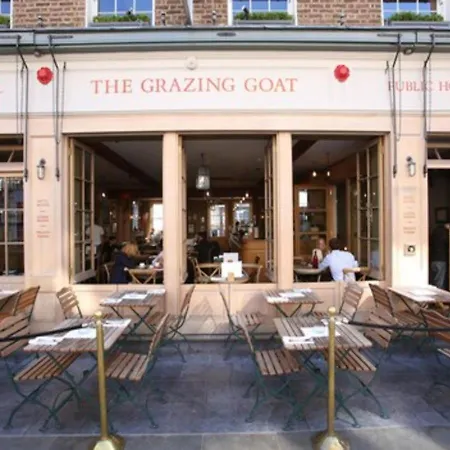 The Grazing Goat-3