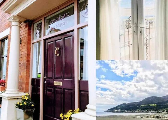Conlyn House Bed & Breakfast Newcastle 