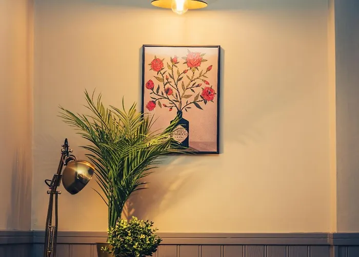 Lawton Street Rooms