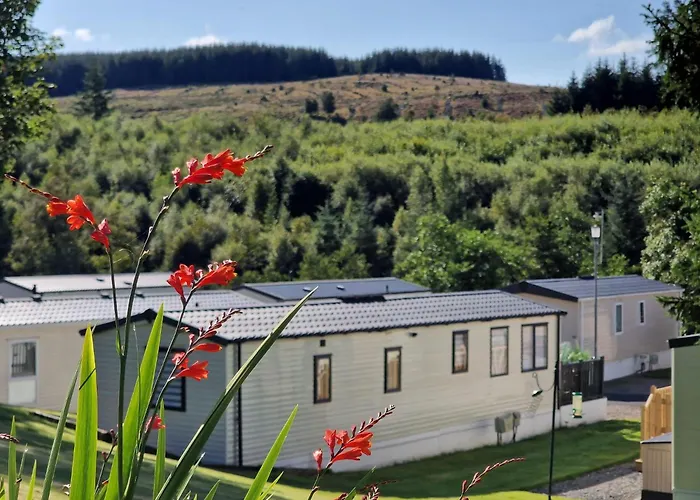 Corriefodly Holiday Park Blairgowrie and Rattray