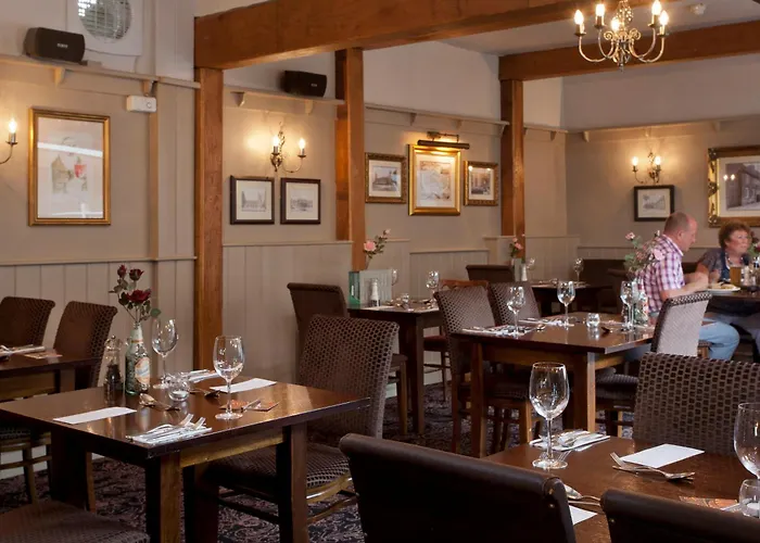 The Dog & Bear Hotel