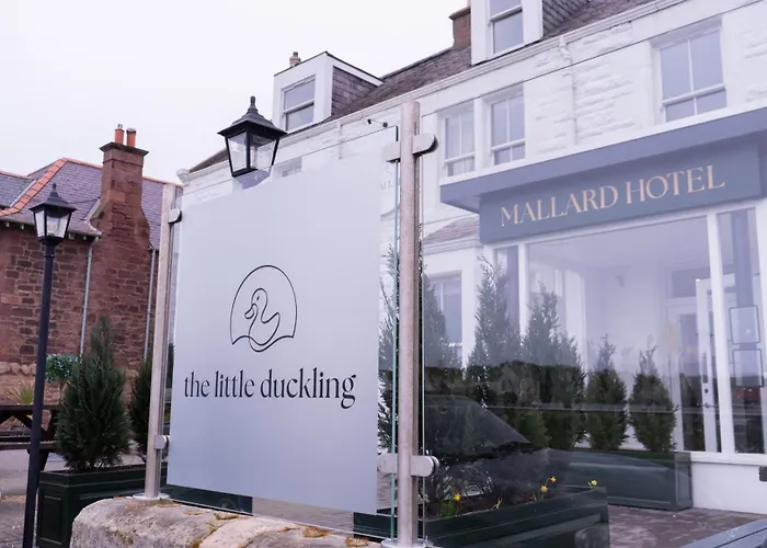The Mallard Hotel