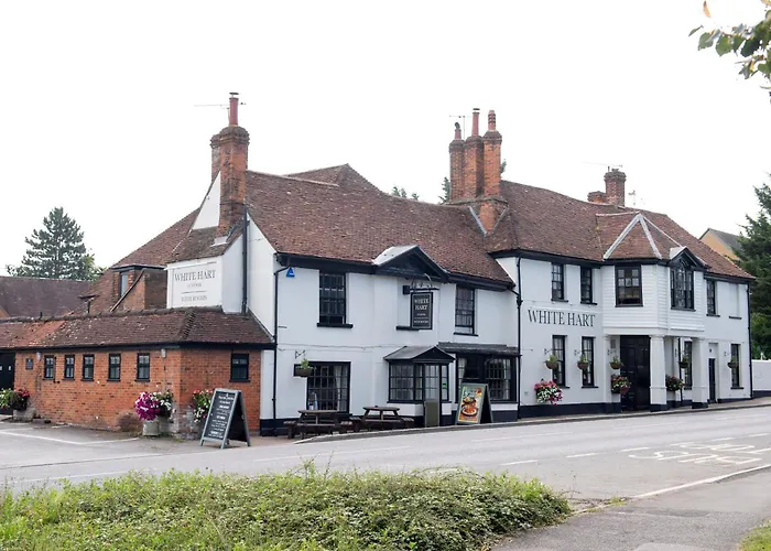 The White Hart By Innkeeper'S Collection