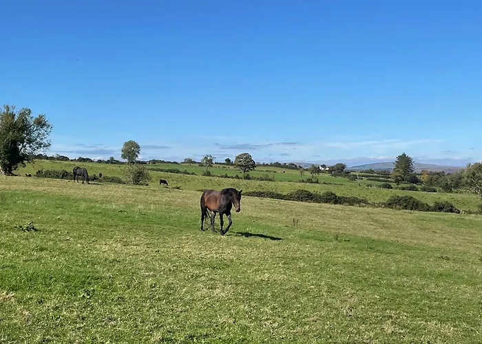 Arney Lodge Farm