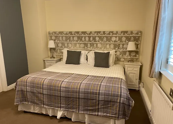 Oyo New Inn Hotel
