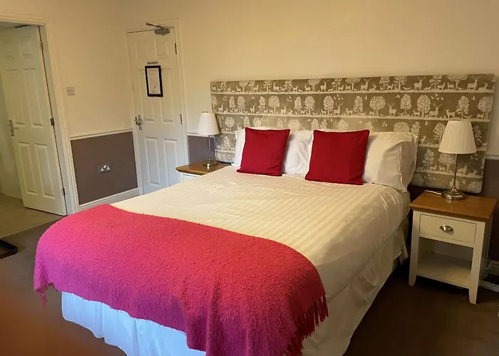 Oyo New Inn Hotel