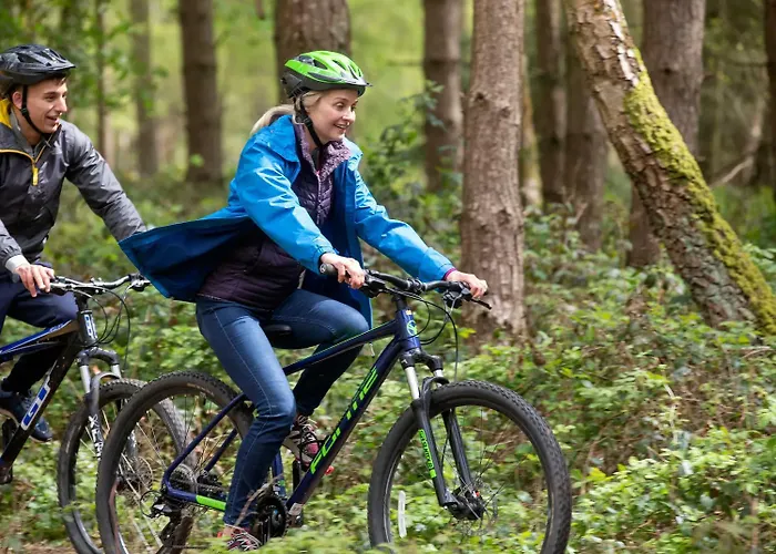 Thorpe Forest Cabins - Forest Holidays Thetford