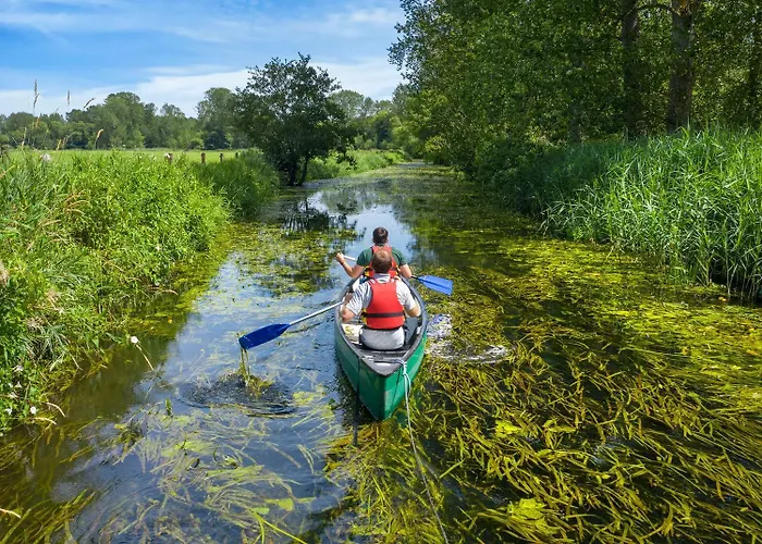Thorpe Forest Cabins - Forest Holidays Thetford