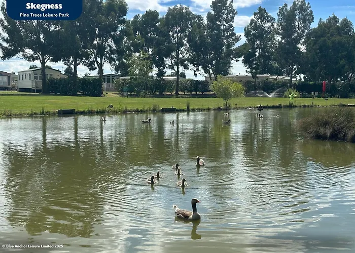 Pine Trees Leisure Park