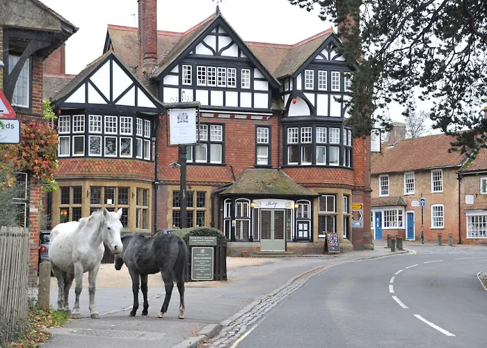 The Montagu Arms