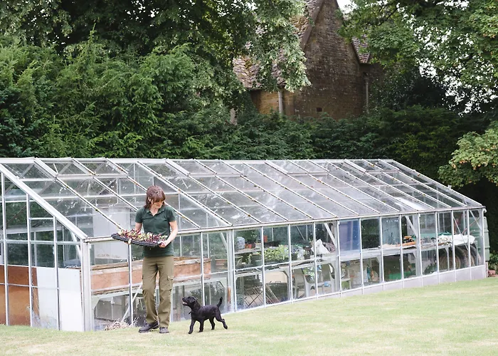 Lords Of The Manor