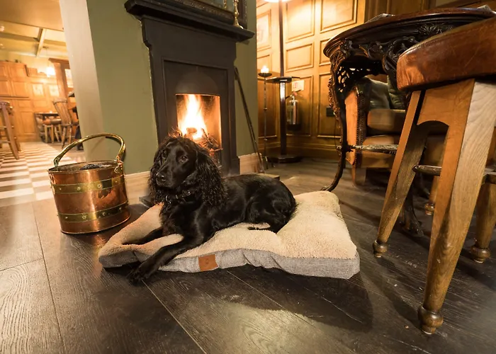 The Jack Russell Hotel Andover