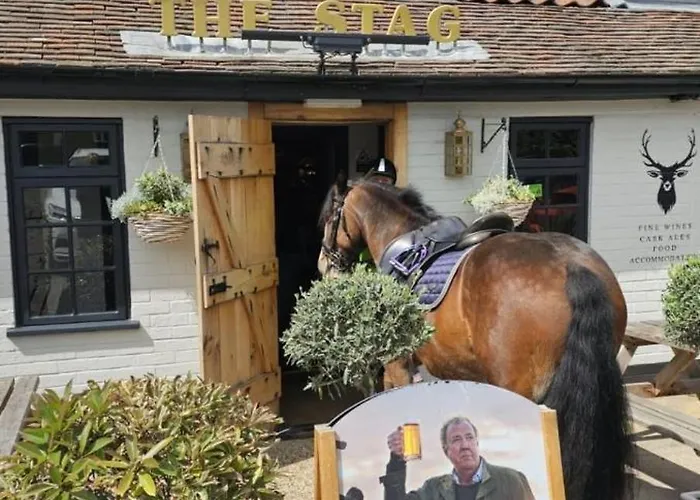 The Stag