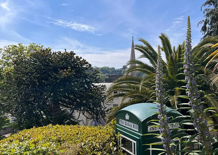 Bed and Breakfast The Robin Hill Torquay